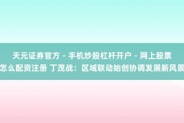 天元证券官方 - 手机炒股杠杆开户 - 网上股票怎么配资注册 丁茂战：区域联动始创协调发展新风景