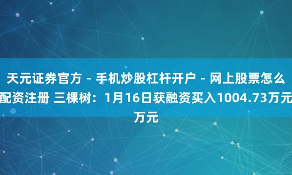 天元证券官方 - 手机炒股杠杆开户 - 网上股票怎么配资注册 三棵树：1月16日获融资买入1004.73万元