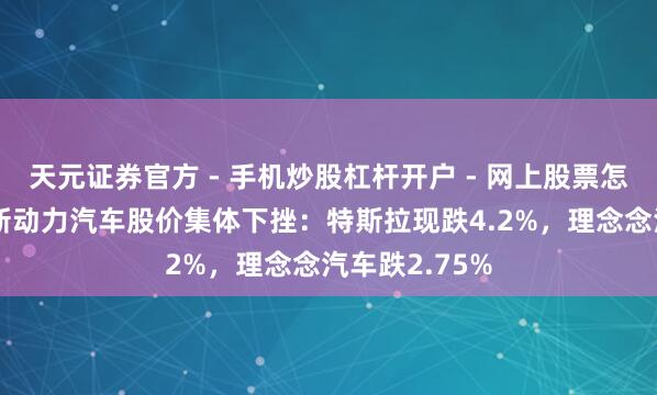 天元证券官方 - 手机炒股杠杆开户 - 网上股票怎么配资注册 新动力汽车股价集体下挫：特斯拉现跌4.2%，理念念汽车跌2.75%