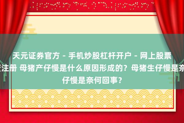 天元证券官方 - 手机炒股杠杆开户 - 网上股票怎么配资注册 母猪产仔慢是什么原因形成的？母猪生仔慢是奈何回事？