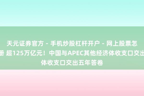 天元证券官方 - 手机炒股杠杆开户 - 网上股票怎么配资注册 超125万亿元！中国与APEC其他经济体收支口交出五年答卷