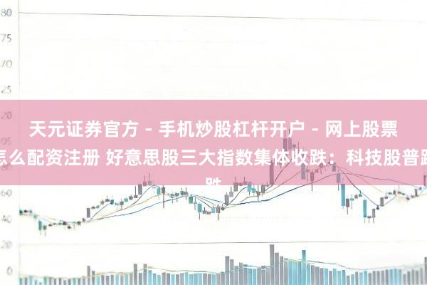 天元证券官方 - 手机炒股杠杆开户 - 网上股票怎么配资注册 好意思股三大指数集体收跌：科技股普跌